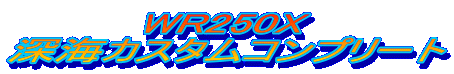 WR250X [CJX^Rv[g 