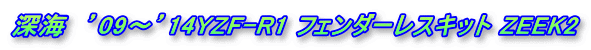 深海　’09〜’14YZF-R1 フェンダーレスキット ZEEK2 