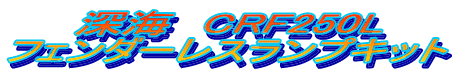 [C@CRF250L tF_[XvLbg 
