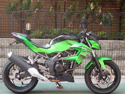 Ninja250SL BX250A キタコ フェンダーレス リアフェンダー ニンジャ Z250SL KITACO