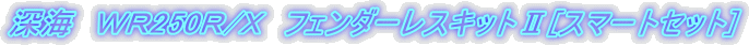 [C@vq250q/w@tF_[XLbgU[X}[gZbg] 